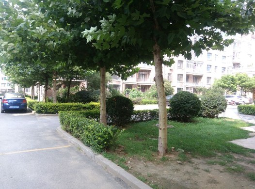 金灿花园小区全家游大床房