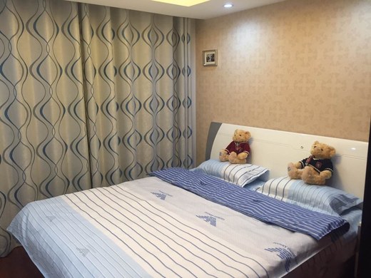 天紫界国际公寓套二