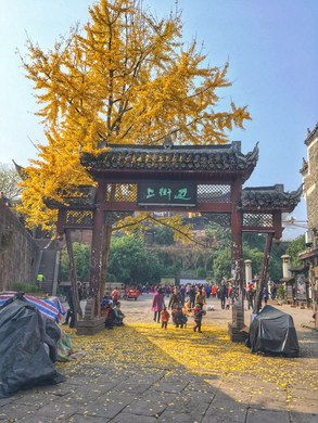 【图】时光里驿站快乐猴仔榻榻米双人间_古城区短租公寓_途家网